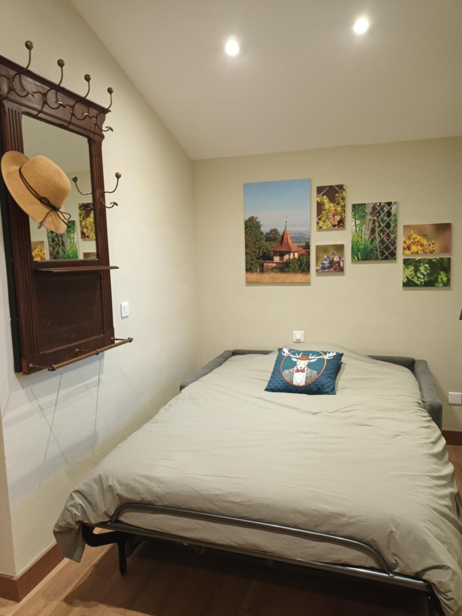 La Ferme De Berlioz Aparthotel La Cote-Saint-Andre Ngoại thất bức ảnh