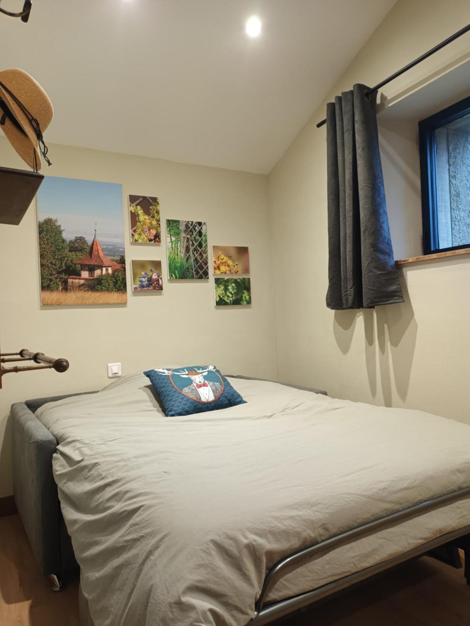La Ferme De Berlioz Aparthotel La Cote-Saint-Andre Ngoại thất bức ảnh